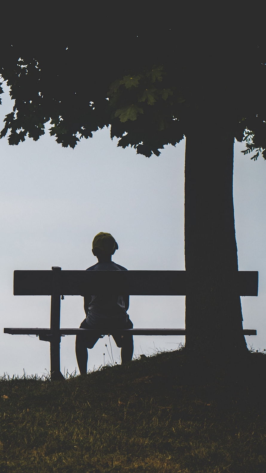 Silhouette of a young boy sitting alone on a wooden bench under a large tree in a quiet outdoor setting HD phone wallpaper