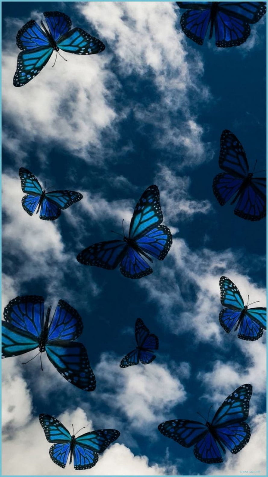 Vibrant Blue Morpho Butterflies Soaring Through Dramatic Cloudy Sky HD phone wallpaper