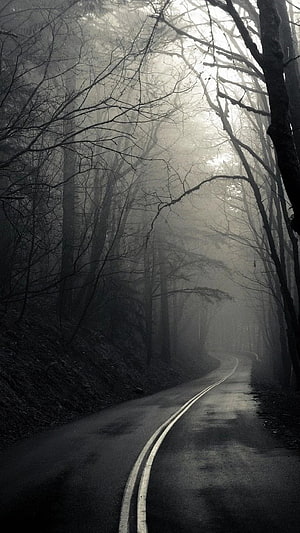 Misty Forest Road with Bare Trees and Double Yellow Lines in Monochrome HD phone wallpaper