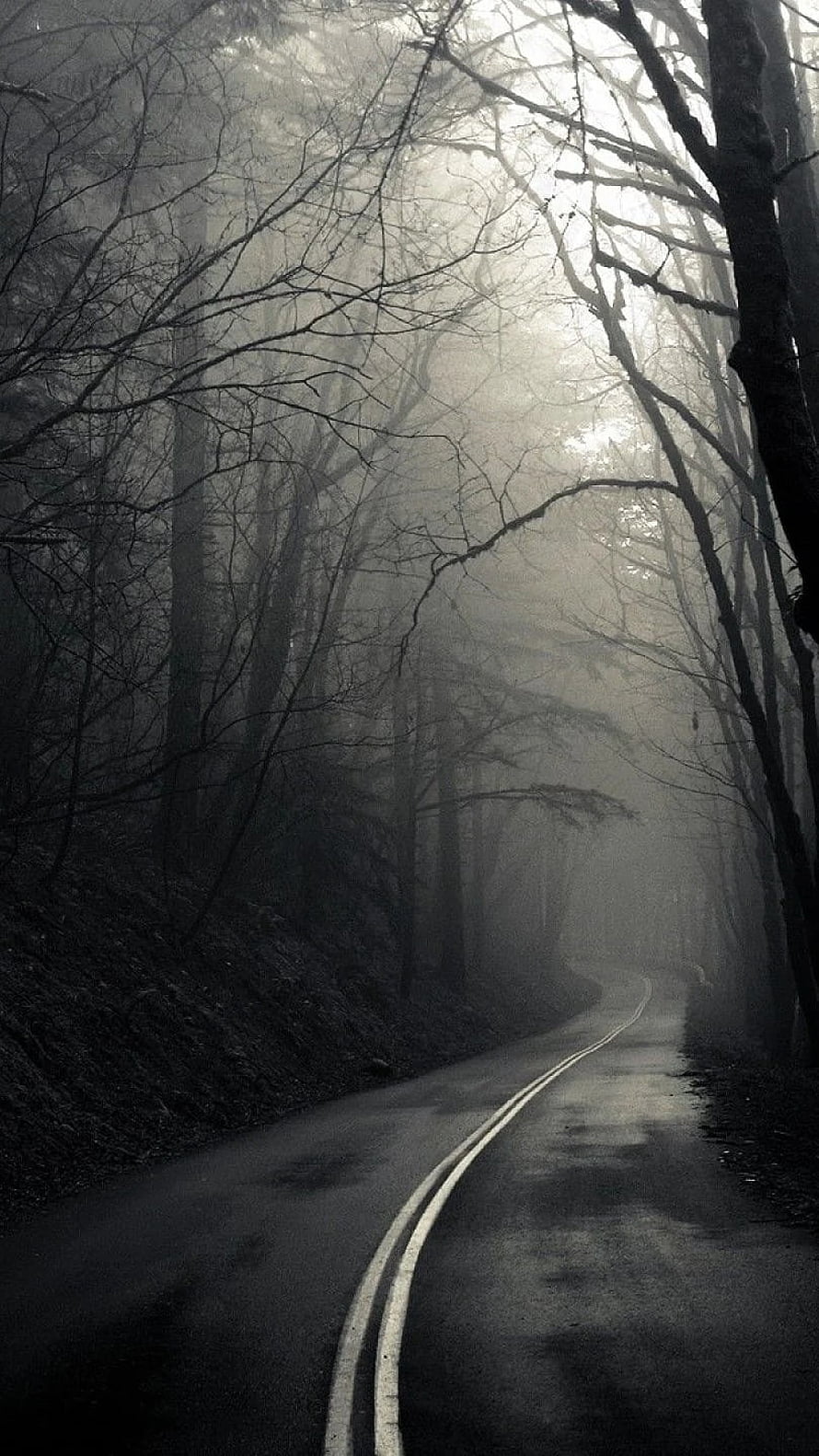 Misty Forest Road with Bare Trees and Double Yellow Lines in Monochrome HD phone wallpaper