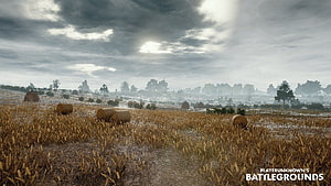 PlayerUnknown's Battlegrounds Misty Wheat Field with Hay Bales and Overcast Sky HD wallpaper