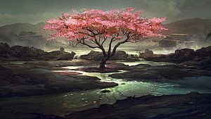 Solitary Cherry Blossom Tree in Misty Rocky River Landscape HD wallpaper