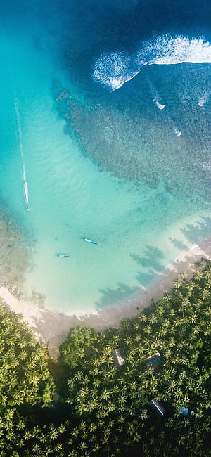 Aerial View of Tropical Beach with Turquoise Water and Palm Trees HD phone wallpaper