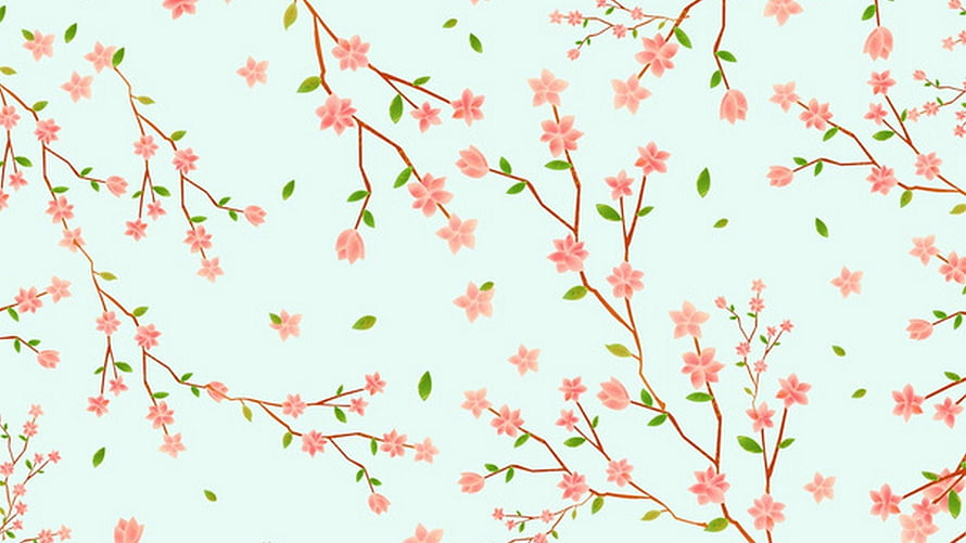 Delicate Pink Cherry Blossom Branches on a Soft Mint Background HD wallpaper