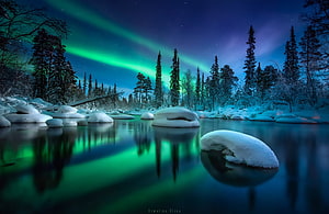Vibrant Green Aurora Borealis Over Snow-Covered Karelia River and Pine Forest HD wallpaper