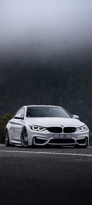 Silver BMW M4 F82 Coupe Parked on a Misty Mountain Road HD phone wallpaper