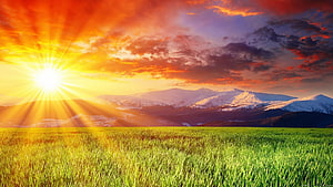 Vibrant Sunrise Over Snow-Capped Mountains And Green Meadow Landscape HD wallpaper