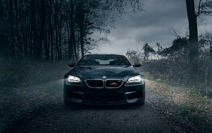 Black BMW M6 Coupe Front View on a Misty Forest Road HD wallpaper