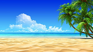 Tropical Beach Scene With Palm Trees And Turquoise Ocean Water HD wallpaper