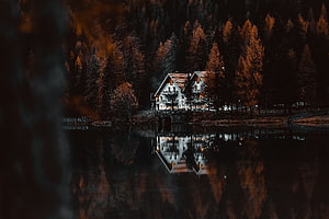 Alpine Lakeside Lodge with Autumn Forest Reflection in Calm Water HD wallpaper