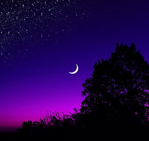Crescent Moon and Starry Sky Over Silhouetted Tree in Purple Night HD wallpaper