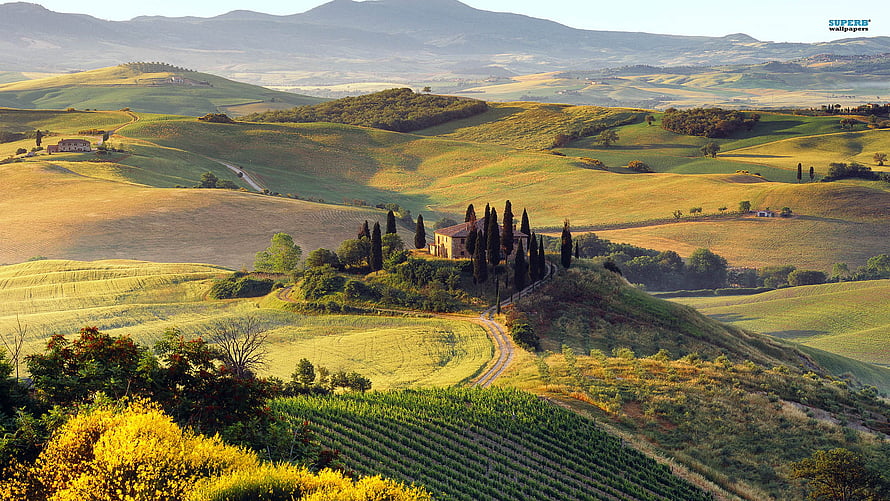 Rolling Hills and Vineyards of the Tuscan Countryside with Cypresses HD wallpaper
