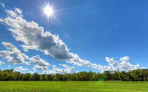 Bright Sun Over Green Meadow With Scattered Clouds And Tree Line HD wallpaper