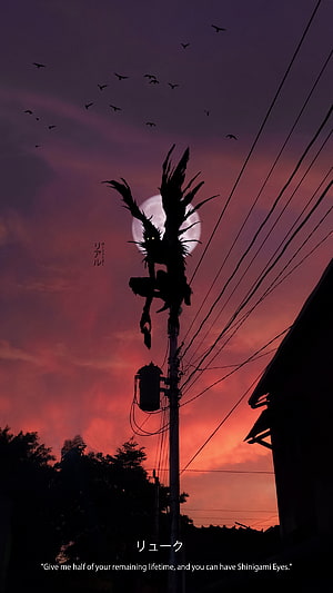 Ryuk Perched on Utility Pole Against Crimson Twilight Sky in Death Note HD phone wallpaper