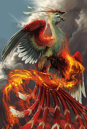 Majestic Phoenix Rising in Flames: Mythical Firebird Digital Artwork HD phone wallpaper