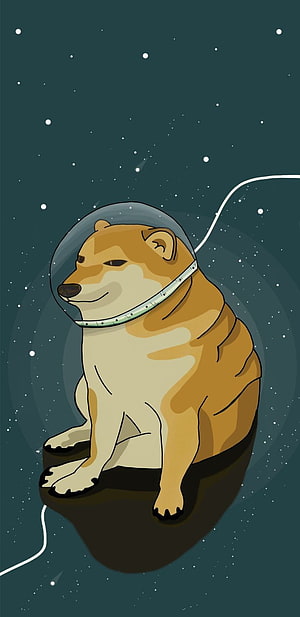 Cheems the Shiba Inu in an Astronaut Helmet Floating in Deep Space HD phone wallpaper