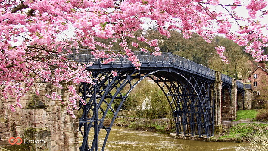 Charming Iron Arch Bridge Framed by Vibrant Pink Cherry Blossoms in Spring HD wallpaper