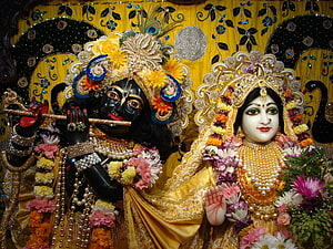 Banke Bihari and Radha Murti Adorned in Gold Jewelry and Fresh Flower Garlands HD wallpaper