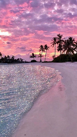 Pink Sunset Beach with Sparkling Water and Silhouetted Palm Trees HD phone wallpaper