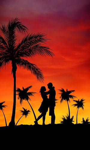 Romantic Couple Silhouette Dancing Under Palm Trees at Vibrant Sunset HD phone wallpaper