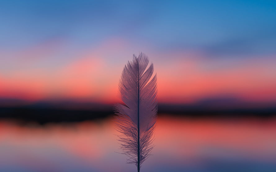 Single Feather Silhouette Against Vibrant Sunset Sky Over Calm Water HD wallpaper