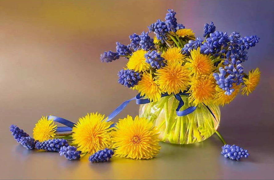 Spring Still Life with Yellow Daisies and Blue Hyacinths in a Glass Vase HD wallpaper