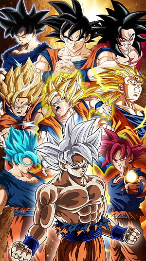 Dragon Ball Super Goku All Transformations Anime Character Artwork HD phone wallpaper