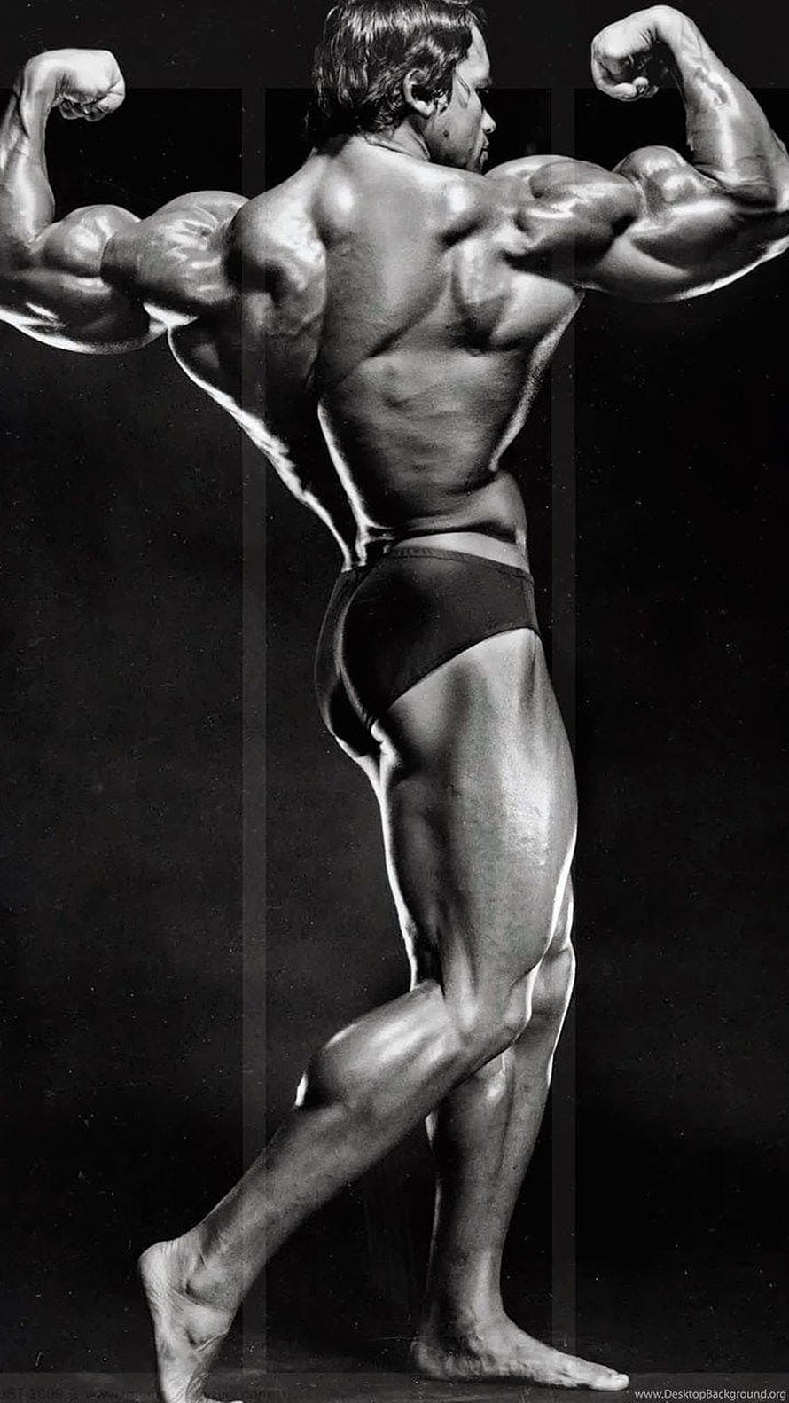 Arnold Schwarzenegger Classic Bodybuilding Pose in Black and White HD phone wallpaper