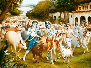 Krishna and Balarama Herding Cows in a Lush Pastoral Landscape HD wallpaper