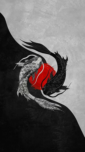 Yin Yang Koi Fish Artwork with Red Sun on Textured Grayscale Background HD phone wallpaper