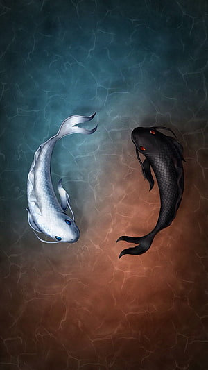 Black and White Koi Fish Yin Yang Digital Art with Water Ripples HD phone wallpaper