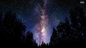 Milky Way Rising Over Dark Pine Forest Silhouettes at Night HD wallpaper