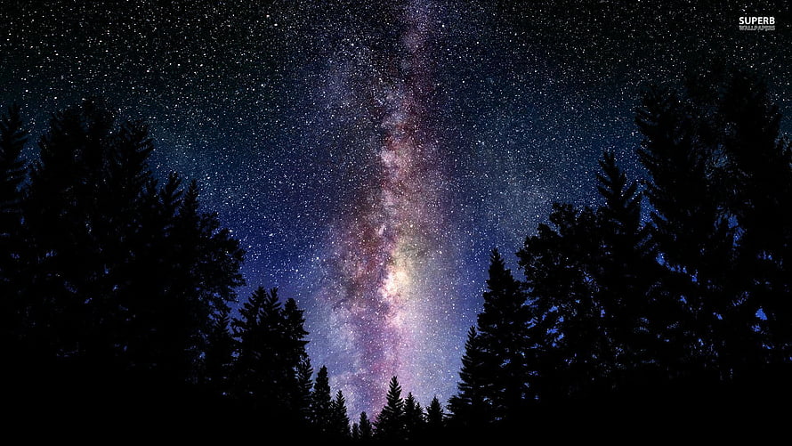Milky Way Rising Over Dark Pine Forest Silhouettes at Night HD wallpaper