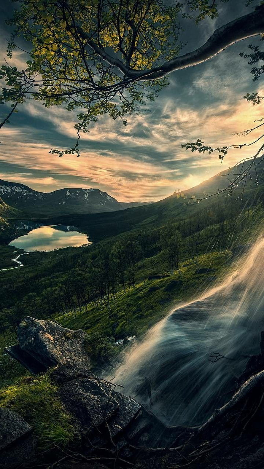 Misty Mountain Waterfall and Lake at Golden Hour with Overhanging Branches HD phone wallpaper