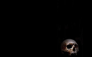 Human Skull in Dramatic Low-Key Lighting Against a Pitch Black Void HD wallpaper