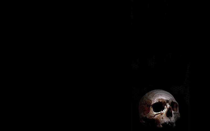 Human Skull in Dramatic Low-Key Lighting Against a Pitch Black Void HD wallpaper