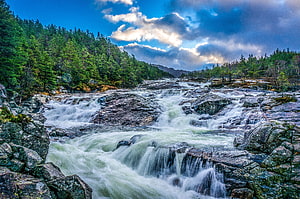 Rushing Mountain Stream Cascading Over Rocky Terrain With Pine Forest HD wallpaper