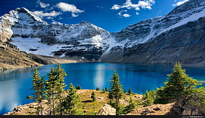 Alpine Lake with Snow-Capped Mountains and Evergreen Trees Under a Blue Sky HD wallpaper