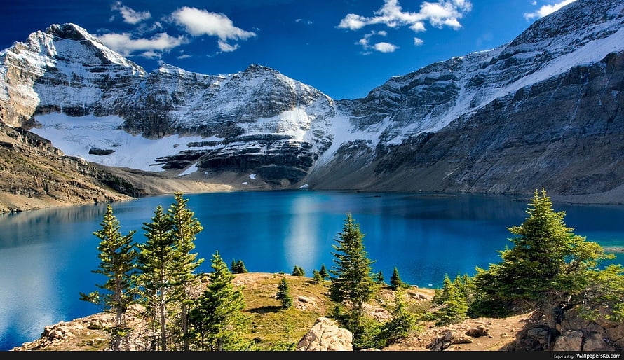 Alpine Lake with Snow-Capped Mountains and Evergreen Trees Under a Blue Sky HD wallpaper