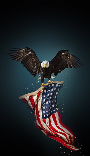 Majestic Bald Eagle Soaring with American Flag Against Dark Background HD phone wallpaper