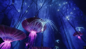 Avatar Bioluminescent Forest with Glowing Flora and Ethereal Creatures HD wallpaper