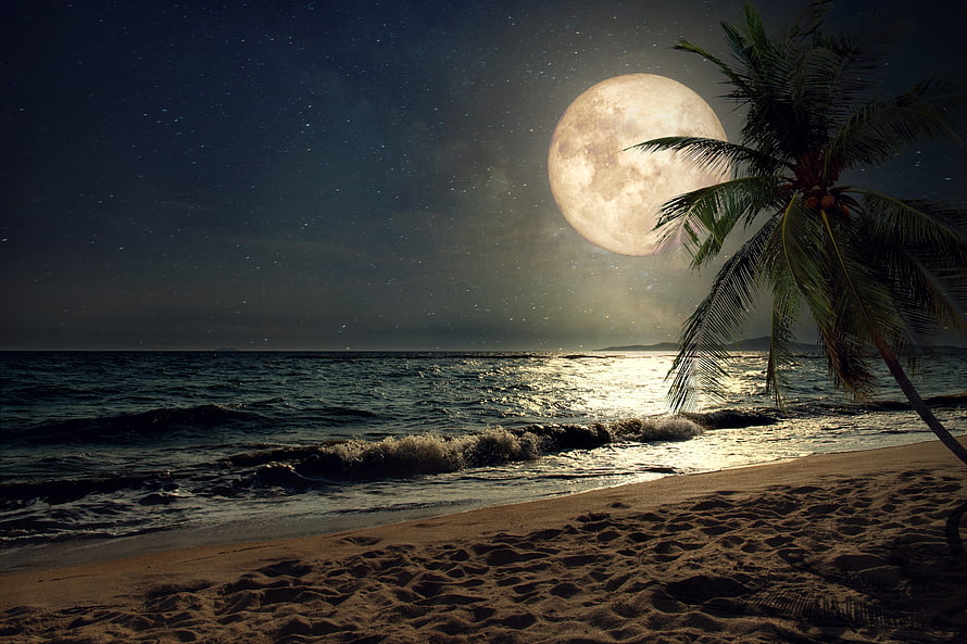 Full Moon Over Tropical Beach With Palm Tree Silhouette And Starry Night Sky HD wallpaper