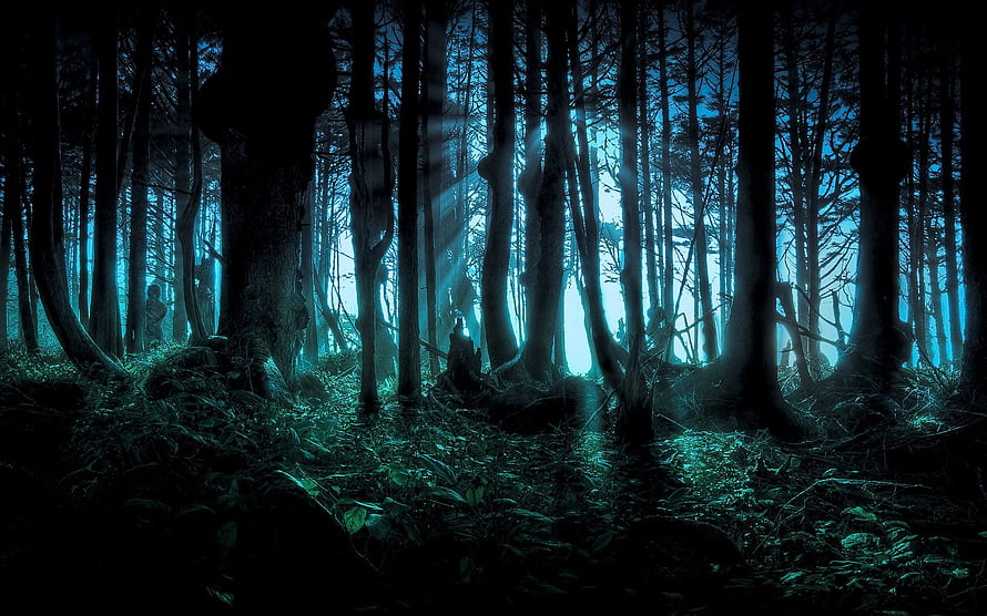 Mystical Demon Slayer Forest Scene with Ethereal Blue Light Rays HD wallpaper
