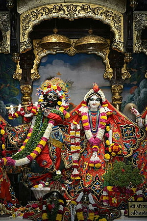 Radha Krishna Temple Deities Adorned in Vibrant Garlands and Ornate Attire HD phone wallpaper