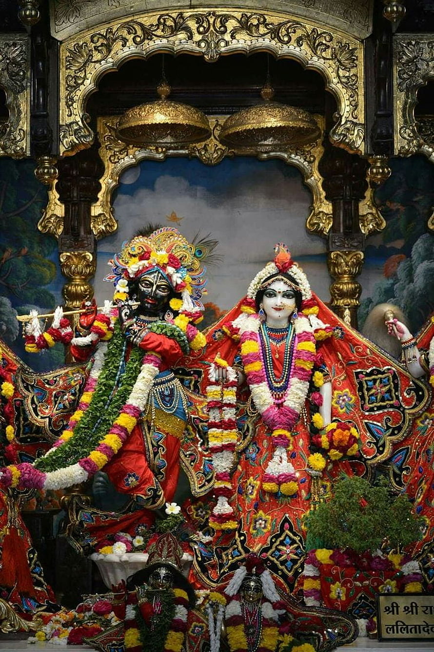 Radha Krishna Temple Deities Adorned in Vibrant Garlands and Ornate Attire HD phone wallpaper