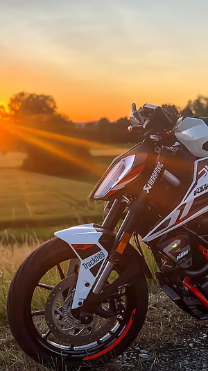 KTM Duke 390 White and Orange Sport Motorcycle at Golden Sunset HD phone wallpaper