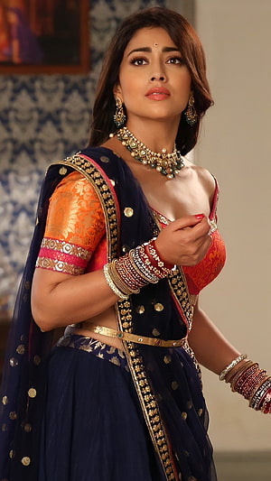 Shreya Saran in Traditional Indian Ethnic Wear with Gold Jewelry and Bangles HD phone wallpaper