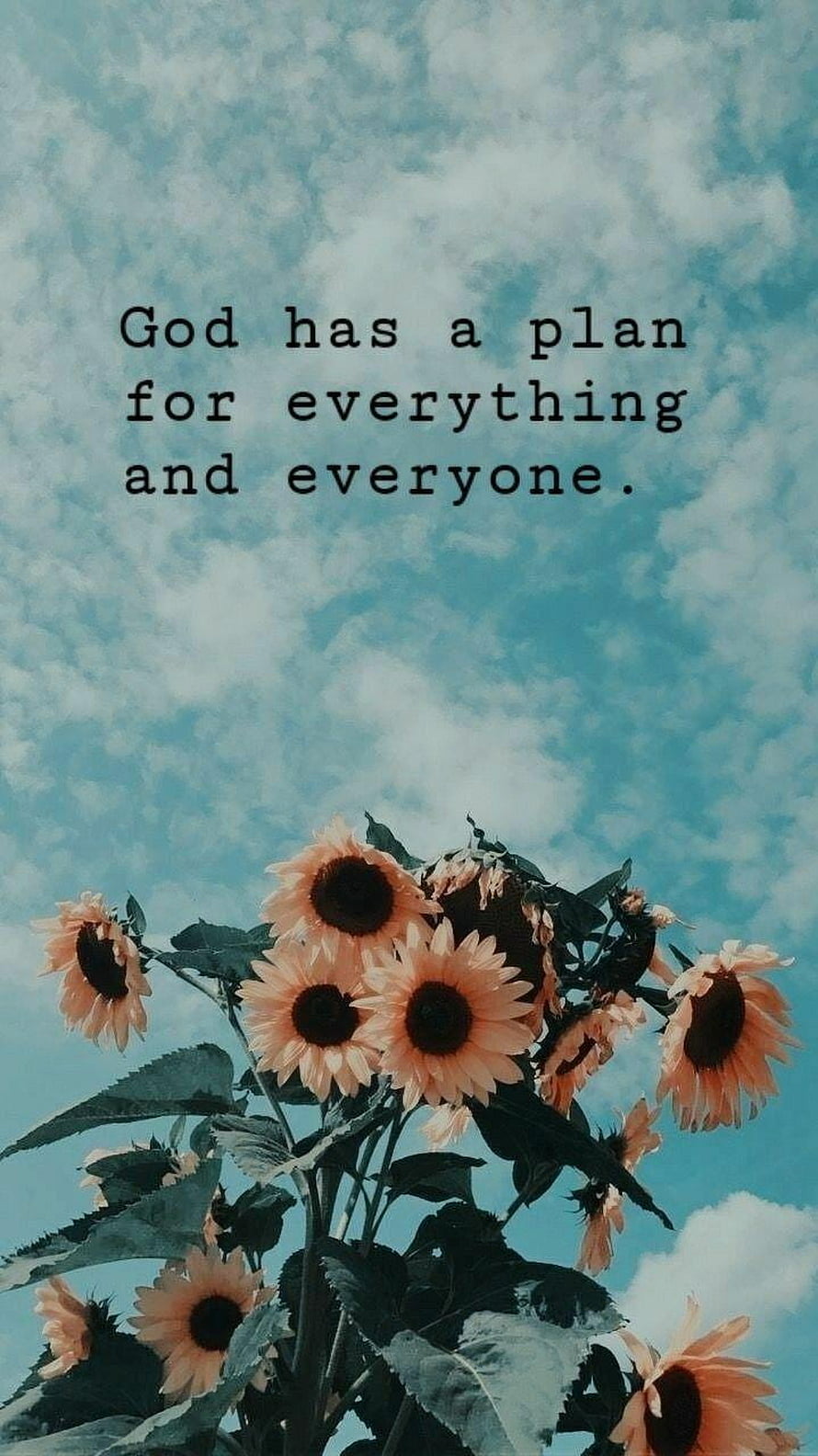 Inspirational Christian Quote Over Sunflowers Against a Cloudy Blue Sky HD phone wallpaper