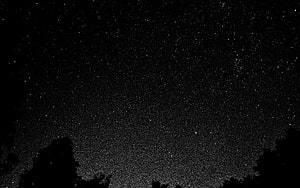 Black and White Starry Night Sky with Silhouetted Trees and Milky Way HD wallpaper