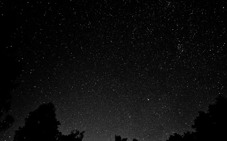 Black and White Starry Night Sky with Silhouetted Trees and Milky Way HD wallpaper